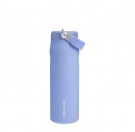 Stanley bottle 0.7 L