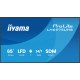 iiyama 65" 4K UHD Professional Digital Signage 24/7 display featuring Android OS, FailOver and Intel® SDM slot