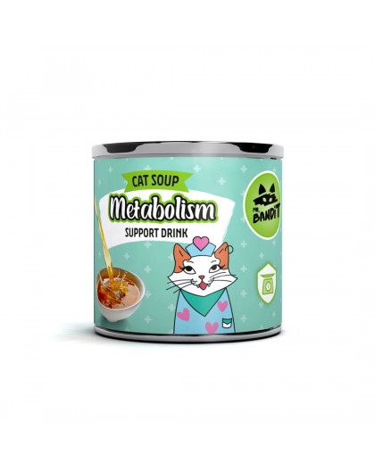 VETEXPERT Mr. Bandit Salmon Metabolism Support - functional drink for cat - 95 ml