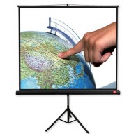 Avtek TRIPOD Pro 200 projection screen 1:1