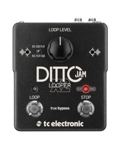 Looper TC Electronic Ditto Jam X2 w/ BeatSense tec