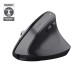 Trust Bayo+ mouse Office Right-hand RF Wireless + Bluetooth Optical 2400 DPI