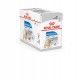 ROYAL CANIN Light Weight Care Wet dog food Pâté 12x85 g