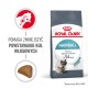 Royal Canin Hairball Care cats dry food 10 kg Adult Corn, Poultry, Rice, Vegetable