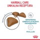 Royal Canin Hairball Care kasside kuivtoit 10 kg Täiskasvanud Mais, Linnuliha, Riis, Köögivili