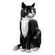 LEGO IDEAS 21349 Tuxedo Cat