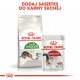 Royal Canin Outdoor kasside kuivtoit 400 g Täiskasvanud Lindude liha