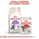 Royal Canin FHN Sensible - dry food for adult cats - 4kg
