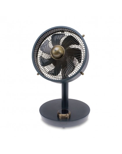 Stylies Cepheus Anthracite, Bronze