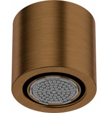 1-function shower head