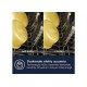 Built-in dishwasher ELECTROLUX EEM43201L