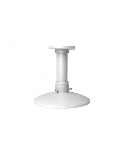 DS-1661ZJ-6D Ceiling Mount