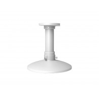 DS-1661ZJ-6D Ceiling Mount