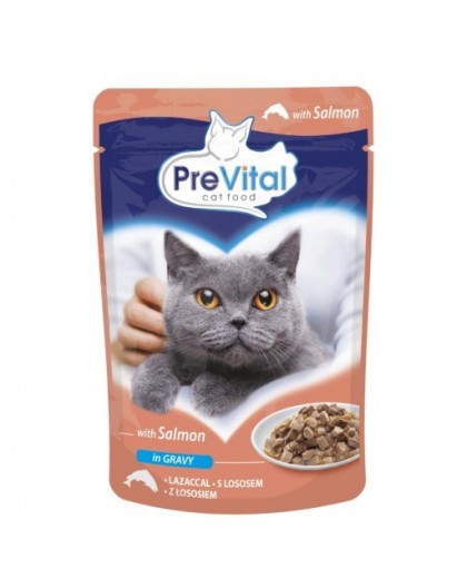 PREVITAL Salmon in gravy - wet cat food - 100g