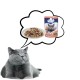PREVITAL Salmon in gravy - wet cat food - 100g