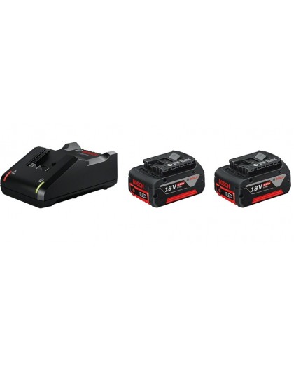 Bosch 1 600 A01 9S0 cordless tool battery / charger Battery & charger set