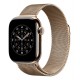 Apple MGJ04ZM/A Smart Wearable Accessories Band Gold Stainless steel