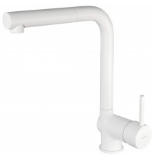Kitchen faucet with pull-out spout