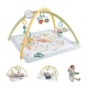 Fisher-Price Simply Senses Newborn Gym Baby Activity Mat with 6 Sensory Toys