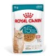 ROYAL CANIN Ageing 15+ Chunks in gravy - wet cat food - 12x85g