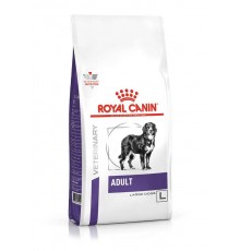 ROYAL CANIN Dog Neutered Adult Large VHN - dry dog food - 13kg