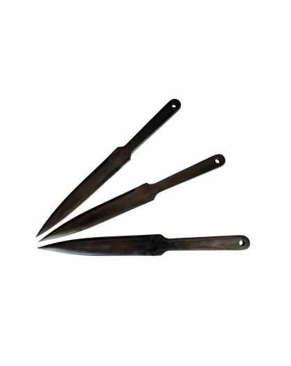 Sports throwing knives KAL22 LIDER 3pcs black