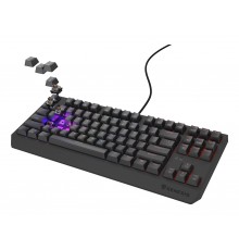 GENESIS Thor 230 TKL keyboard Gaming USB QWERTY US English Black