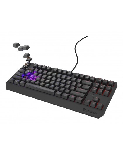 GENESIS Thor 230 TKL keyboard Gaming USB QWERTY US English Black