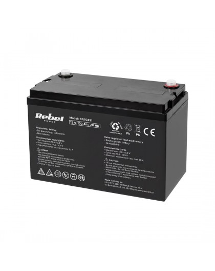 VIPOW akumulator żelowy 12 V 100 Ah