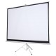 Silelis ET-1 100" Projection Screen (180x180 cm, 1:1), Auto-Roll-Up, Tripod/Stand