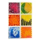 Tullo Sensory path – textured sensory tiles with liquid, 6 pcs.