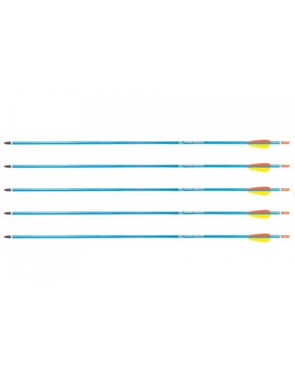 Poe Lang sihiku 30" D-016-B alumiiniumist nooled 5 tk Sinine