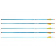 Poe Lang Target 30" D-016-B Aluminium arrows 5 pcs Blue