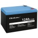 Qoltec LiFePO4 Lithium-Iron-Phosphate Battery 12.8V 12Ah 153.6Wh with BMS