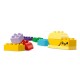 LEGO DUPLO 10444 Creative Garden and Flowers
