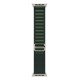 Apple 49mm Dark Green Alpine Loop - Small - Natural Titanium Finish