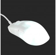 Endgame Gear OP1 RGB mouse Gaming Right-hand USB Type-A Optical 26000 DPI