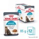 ROYAL CANIN Urinary Care in Gravy 12x85g