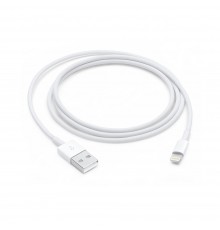 Apple Lightning to USB Cable (1В m)