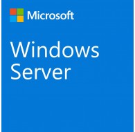 Microsoft Windows Server 2022 1 license(s)