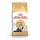 ROYAL CANIN Persian Adult - dry cat food - 400g
