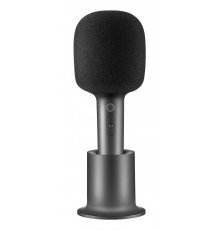 Xiaomi BHR6752GL microphone Black Karaoke microphone