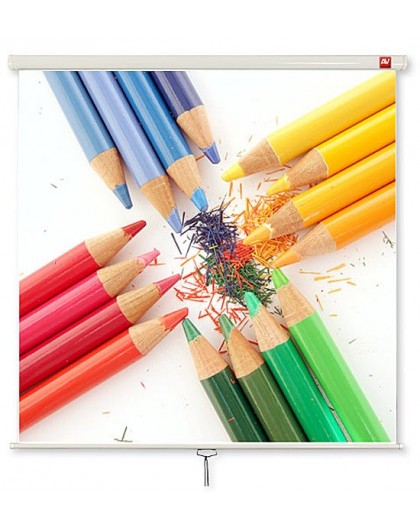 Avtek Wall Standard 175 projection screen 1:1