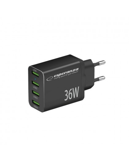 Esperanza EZC107K voolukuulaja 36W Musta