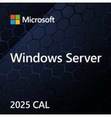 Microsoft Windows Server CAL 2022 Client Access License (CAL) 1 license(s)