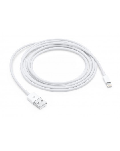 Apple Lightning to USB Cable (2 m)