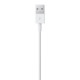 Apple Lightning to USB Cable (2 m)
