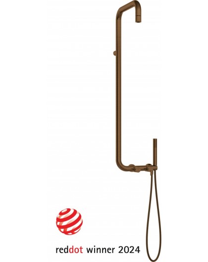 Showerhead with shower faucet