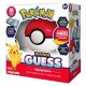Pokemon Trainer Guess interactive game Kanto edition, Game