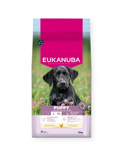 EUKANUBA Puppy L XL Rich in chicken - dry dog food - 15kg